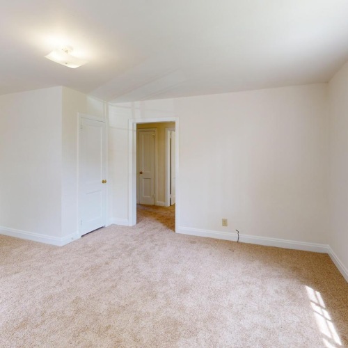 a room with a carpet and windows